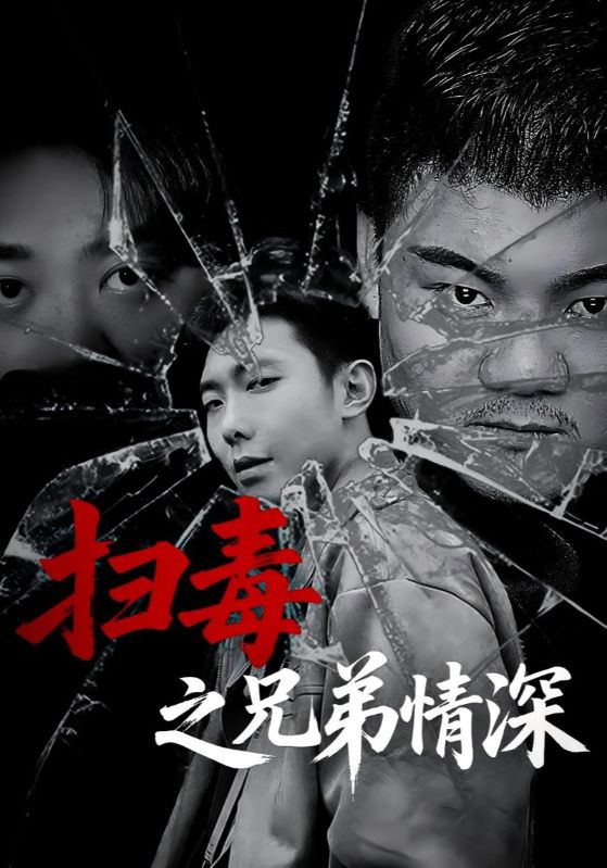 扫毒之兄弟情深(全集)