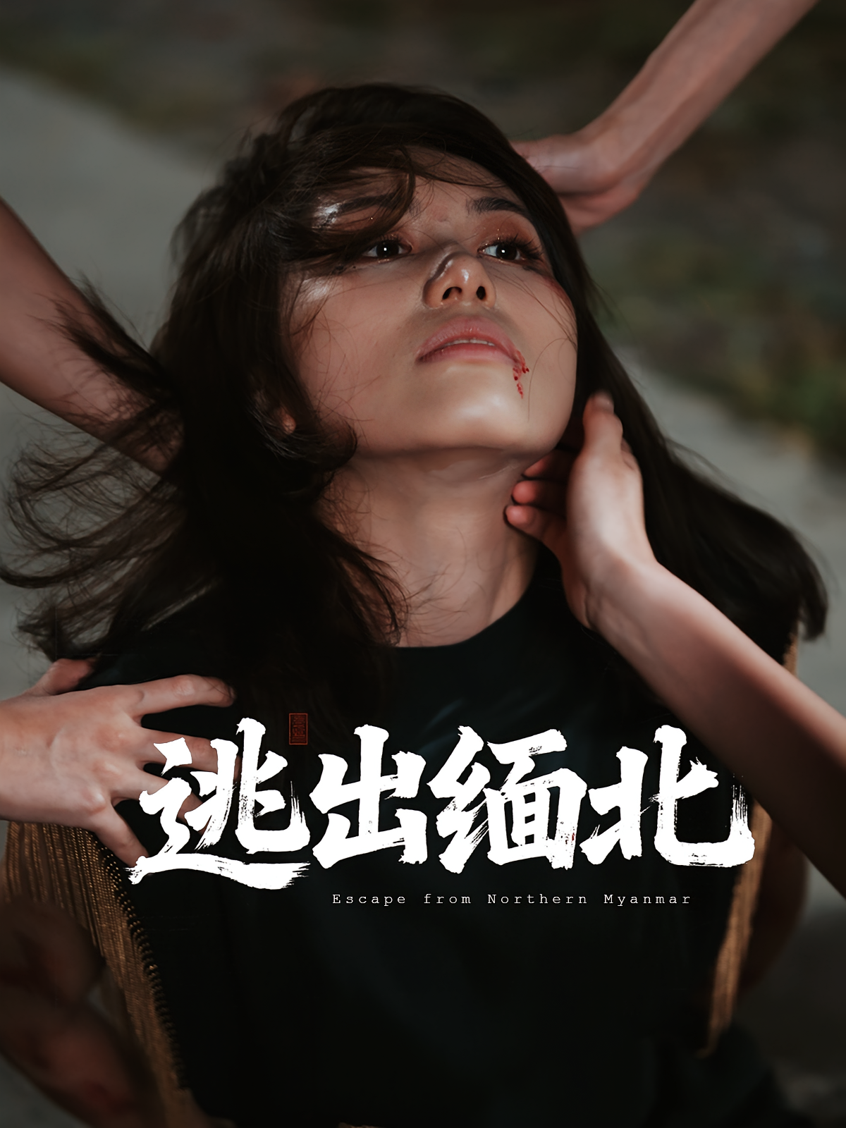 逃出缅北 第26集