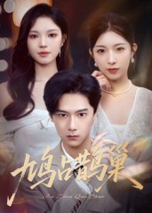 鸠占鹊巢，顶流夫人的致命陷阱 第13集