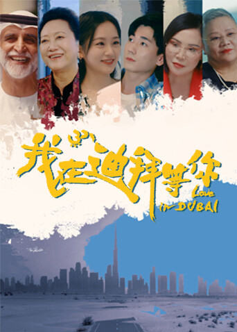 我在迪拜等你 第09集