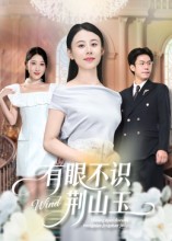 有眼不识荆山玉 第06集