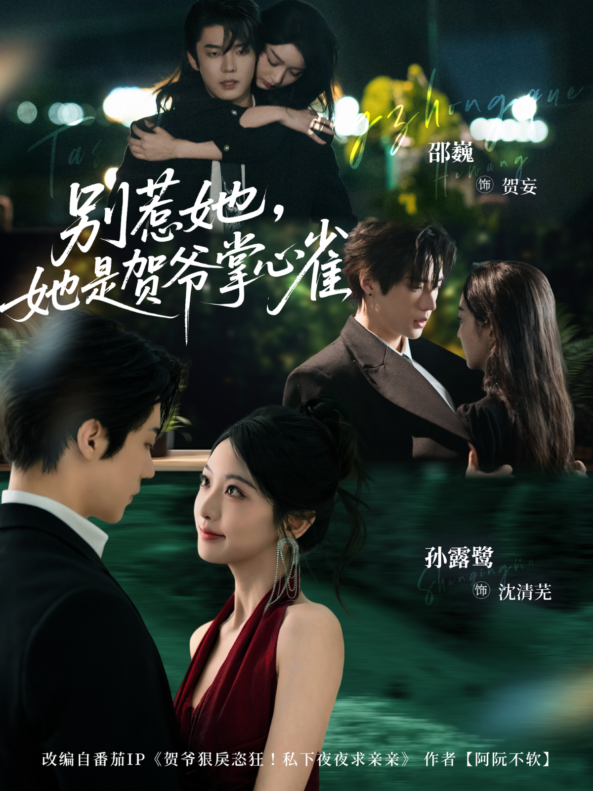 别惹她，她是贺爷掌心雀 第65集