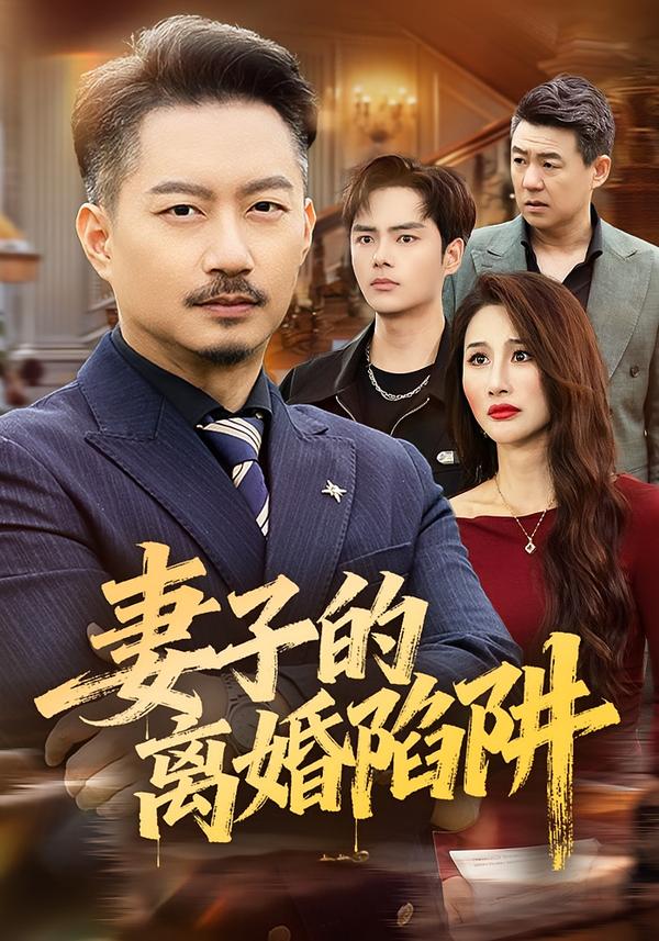 妻子的离婚陷阱 第13集