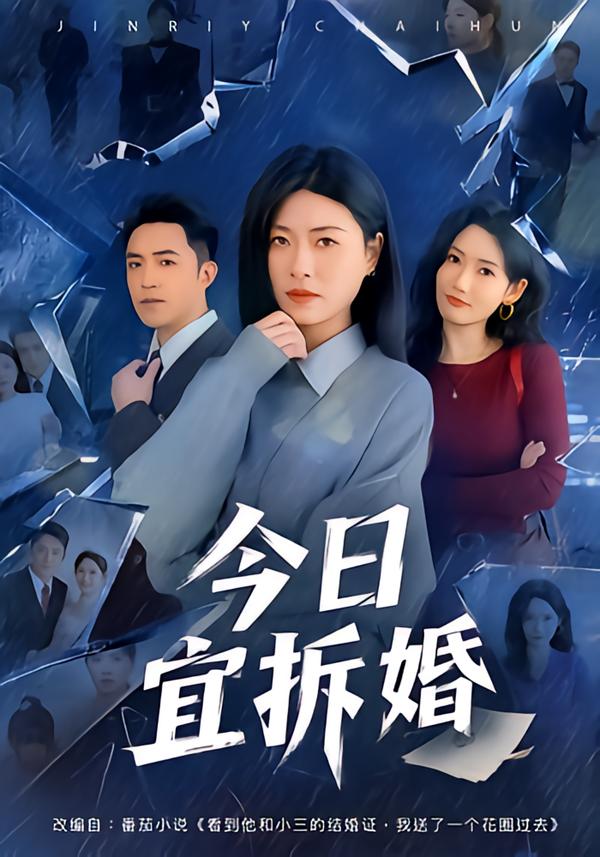 今日宜拆婚(全集)