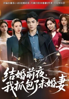 结婚前夜，我抓包了未婚妻 第46集