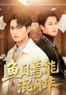鱼目焉能混月华 第24集