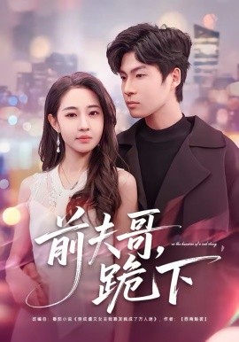 前夫哥，跪下(全集)