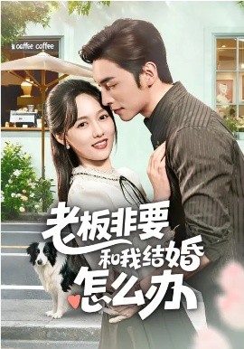 老板非要和我结婚怎么办 第17集