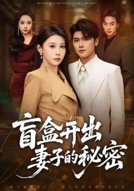 盲盒开出妻子的秘密 第27集