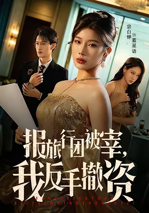报旅行团被宰，我反手撤资 第29集